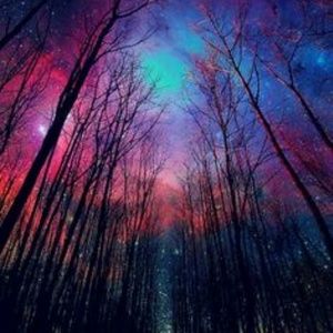 Meet your Posher, Delaney